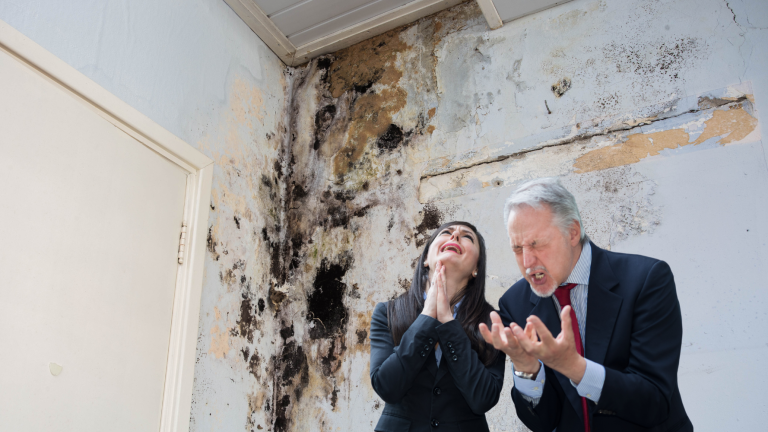 Due condomini, visibilmente esasperati, indicano una parete interna coperta di muffa e macchie d’acqua causate da infiltrazioni in condominio.