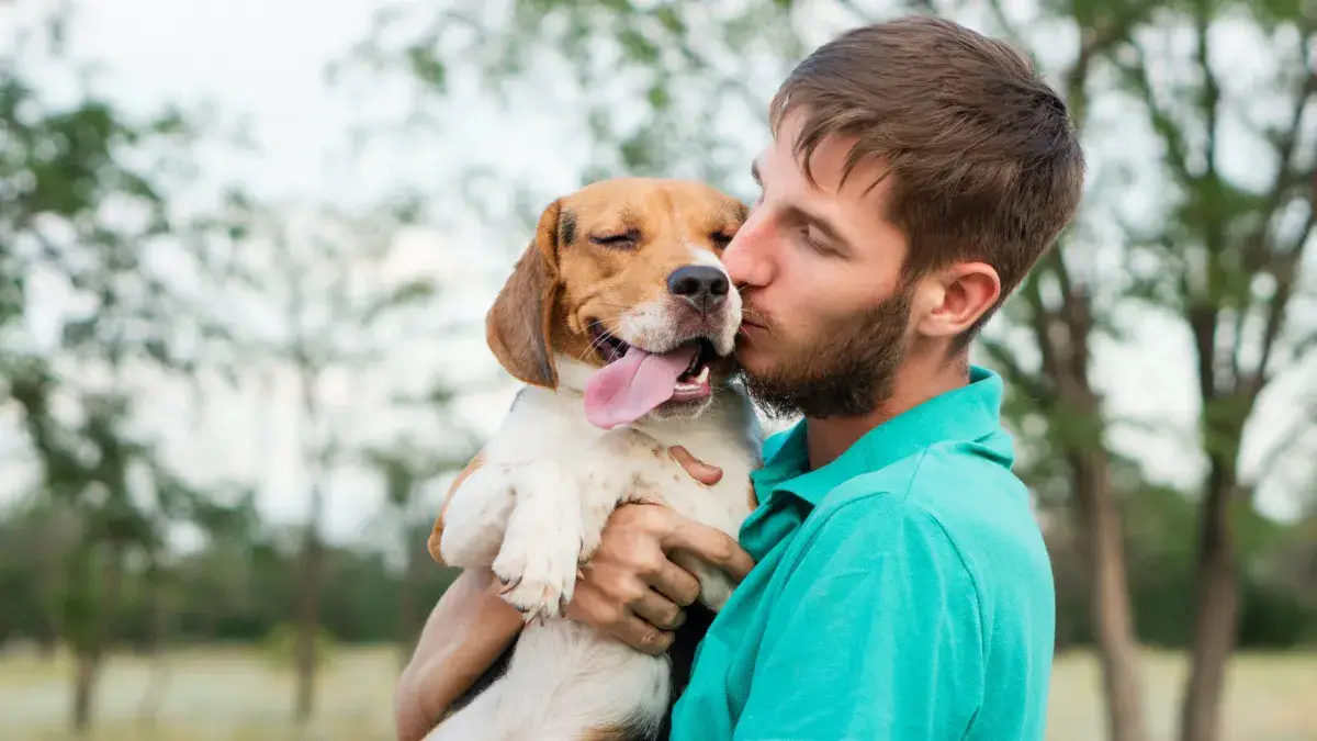 Uomo che abbraccia e bacia un cane di razza beagle in un contesto naturale, espressione di affetto tra animale domestico e proprietario.